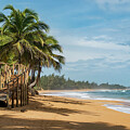 Tropical Beach Pathway in Loiza