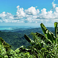Tropical Rio Grande Hillside with Ocean View